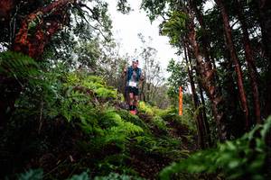 BIB: 
                            <button type="button" onclick="openModal(26201233)" class="btn btn-primary btn-sm float-right btn-popup" data-toggle="modal" data-target=".modal-high-quality">
                        <i class="fas fa-shopping-cart"></i> Add to Cart
                    </button>
                                            <button type="button" onclick="isThisMe(26201233, true)" class="btn btn-success btn-sm float-right btn-popup btn-isme hidden" data-toggle="tooltip" data-placement="bottom" title="นี่คือรูปของคุณใช่ไหม คลิกที่นี่เพื่อเอาเข้าอัลบั้ม">
                        <i class="fas fa-plus"></i> Add to album
                    </button>
                    <button type="button" onclick="isThisMe(26201233, false)" class="btn btn-warning btn-sm float-right btn-popup btn-isnotme hidden">
                        <i class="fas fa-ban"></i> Remove from album
                    </button>